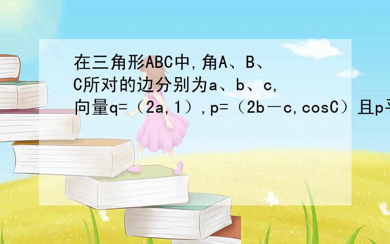 在三角形ABC中,角A、B、C所对的边分别为a、b、c,向量q=（2a,1）,p=（2b－c,cosC）且p平行于q