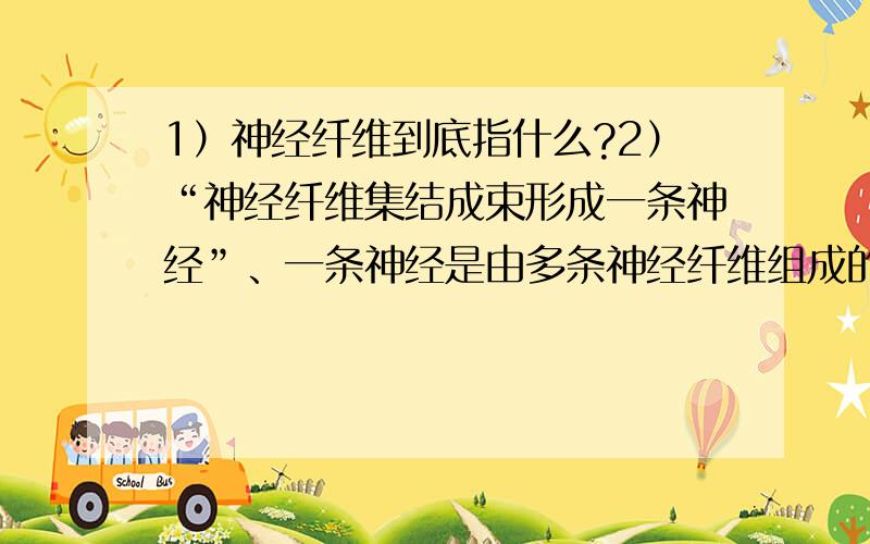 1）神经纤维到底指什么?2）“神经纤维集结成束形成一条神经”、一条神经是由多条神经纤维组成的吗?