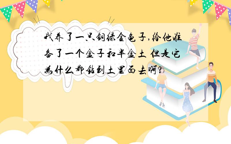 我养了一只铜绿金龟子,给他准备了一个盒子和半盒土 但是它为什么都钻到土里面去啊?