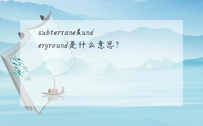 subterrane&underground是什么意思?