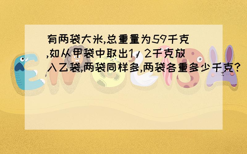 有两袋大米,总重量为59千克,如从甲袋中取出1/2千克放入乙袋,两袋同样多,两袋各重多少千克?