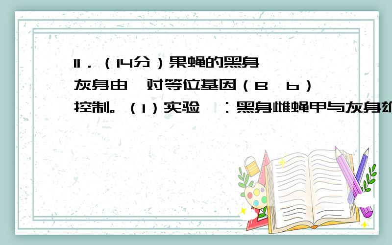 11．（14分）果蝇的黑身、灰身由一对等位基因（B、b）控制。 （1）实验一：黑身雌蝇甲与灰身雄蝇乙杂交，F1全为灰身，