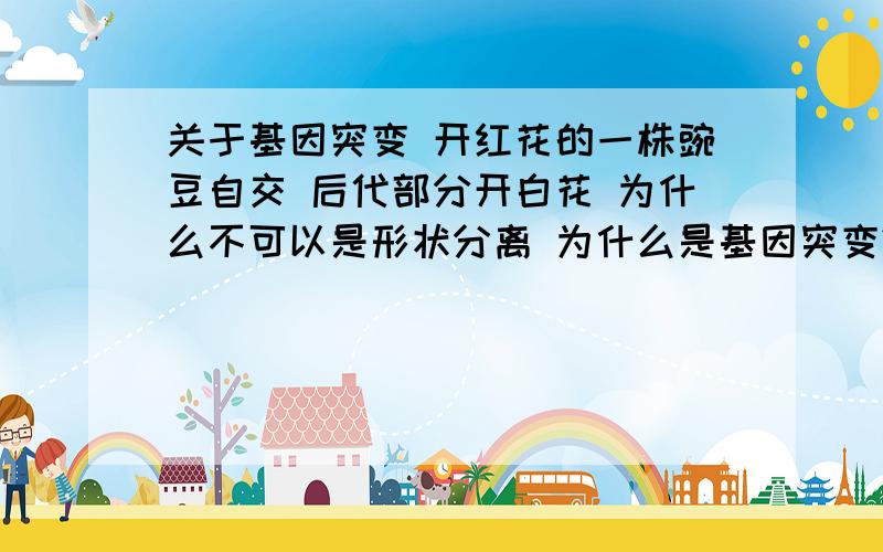 关于基因突变 开红花的一株豌豆自交 后代部分开白花 为什么不可以是形状分离 为什么是基因突变?