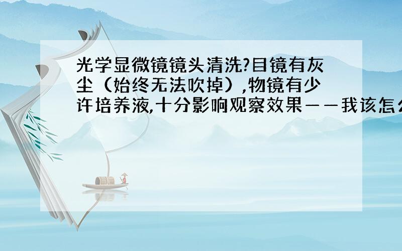 光学显微镜镜头清洗?目镜有灰尘（始终无法吹掉）,物镜有少许培养液,十分影响观察效果——我该怎么办?那个显微镜刚买不久——