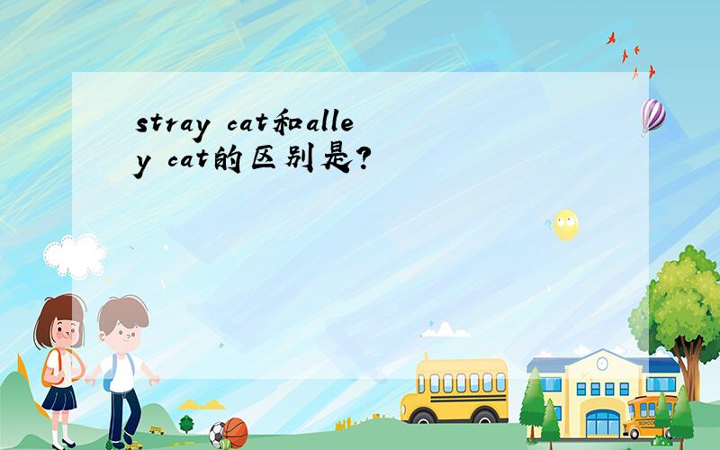 stray cat和alley cat的区别是?