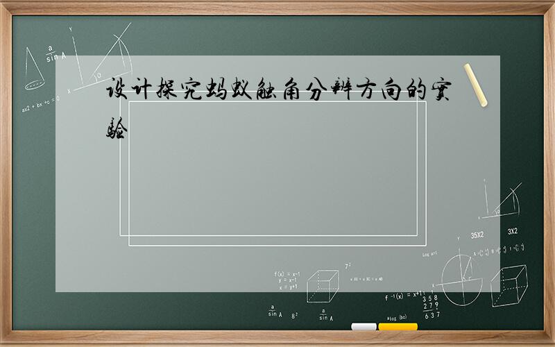 设计探究蚂蚁触角分辨方向的实验