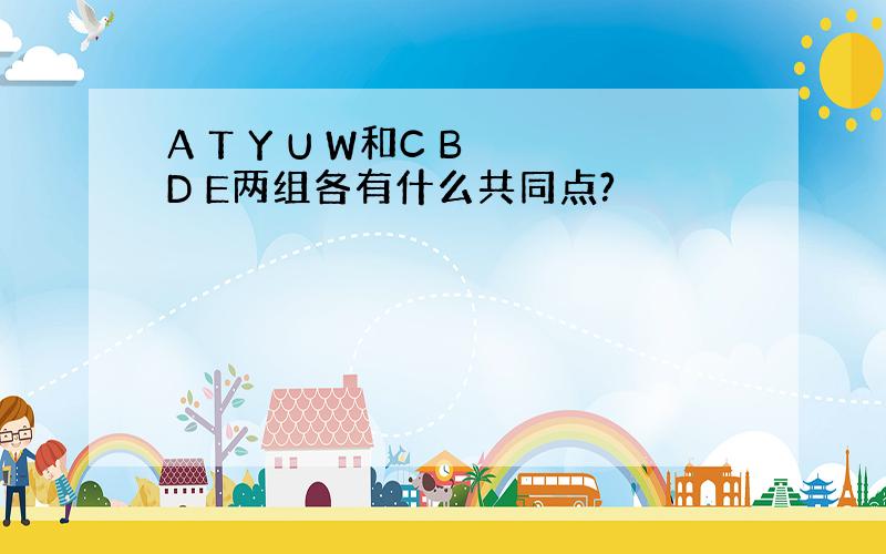 A T Y U W和C B D E两组各有什么共同点?