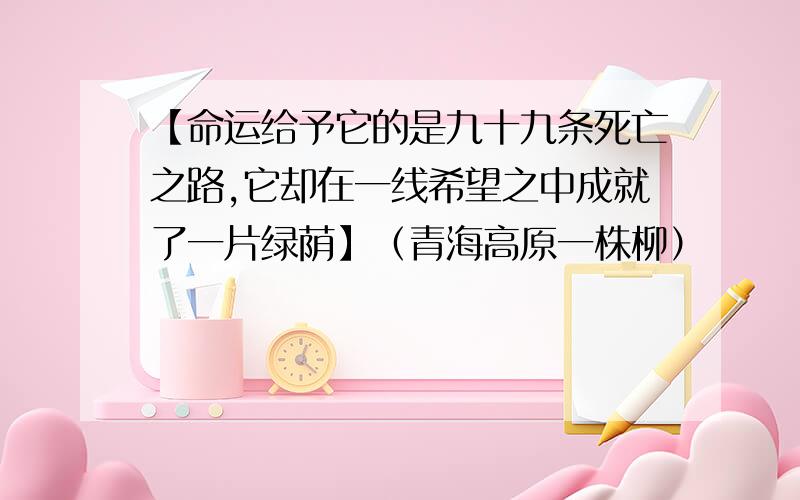 【命运给予它的是九十九条死亡之路,它却在一线希望之中成就了一片绿荫】（青海高原一株柳）