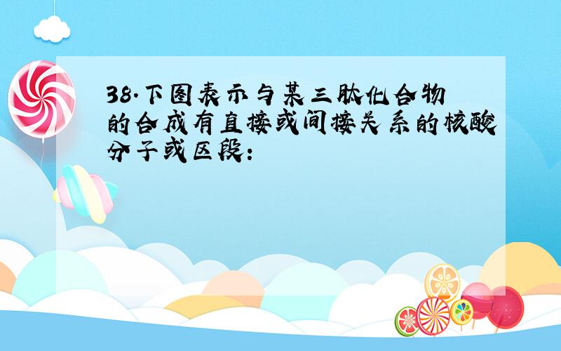 38.下图表示与某三肽化合物的合成有直接或间接关系的核酸分子或区段: