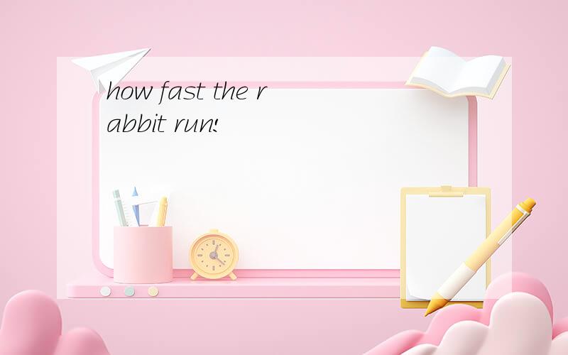 how fast the rabbit run!