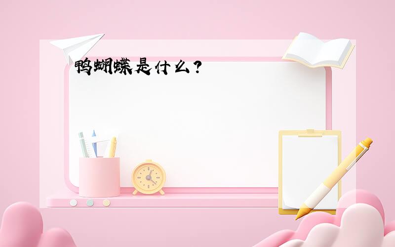 鸭蝴蝶是什么?