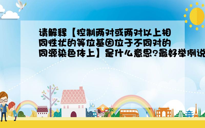 请解释【控制两对或两对以上相同性状的等位基因位于不同对的同源染色体上】是什么意思?最好举例说明