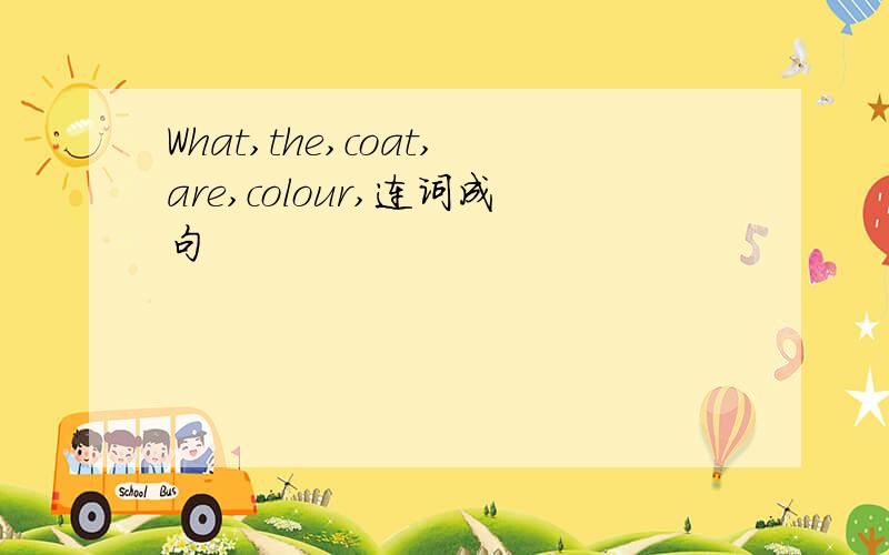 What,the,coat,are,colour,连词成句