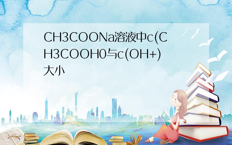 CH3COONa溶液中c(CH3COOH0与c(OH+)大小