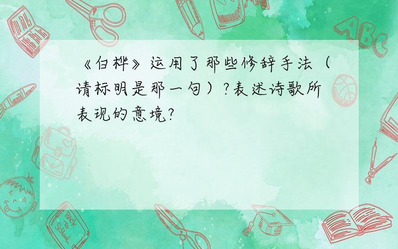 《白桦》运用了那些修辞手法（请标明是那一句）?表述诗歌所表现的意境?