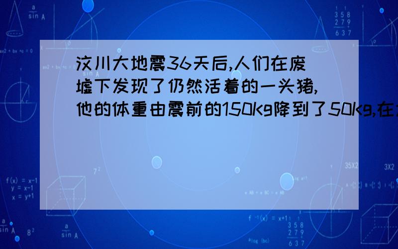 汶川大地震36天后,人们在废墟下发现了仍然活着的一头猪,他的体重由震前的150Kg降到了50Kg,在大部分时间里,维持其