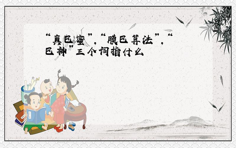 “真巴蜜”,“膜巴算法”,“巴神”三个词指什么