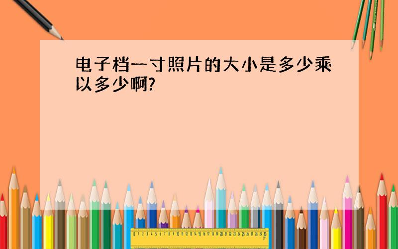 电子档一寸照片的大小是多少乘以多少啊?