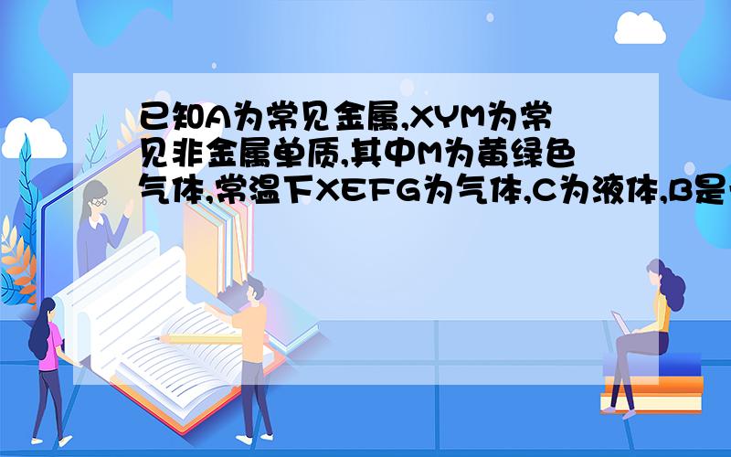 已知A为常见金属,XYM为常见非金属单质,其中M为黄绿色气体,常温下XEFG为气体,C为液体,B是一种盐.受热易分解,现