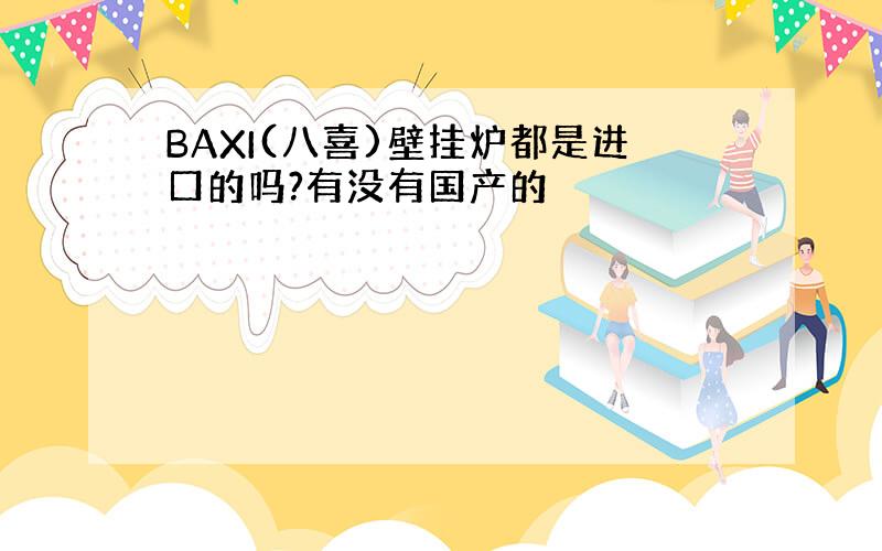 BAXI(八喜)壁挂炉都是进口的吗?有没有国产的