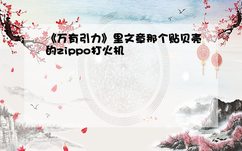 《万有引力》里文章那个贴贝壳的zippo打火机