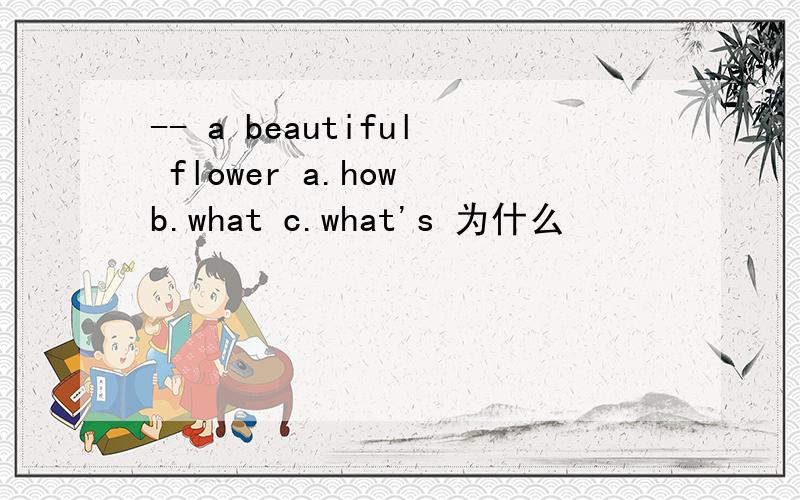 -- a beautiful flower a.how b.what c.what's 为什么