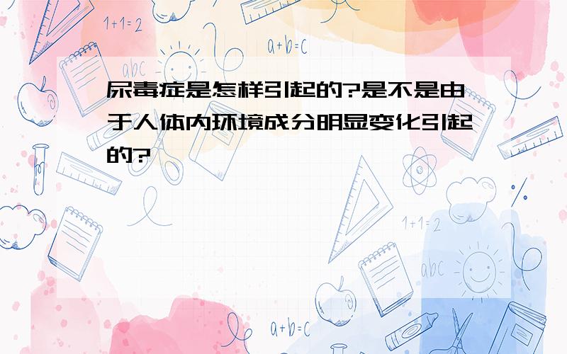 尿毒症是怎样引起的?是不是由于人体内环境成分明显变化引起的?