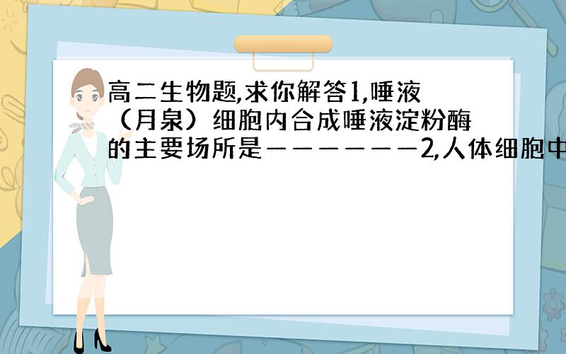 高二生物题,求你解答1,唾液（月泉）细胞内合成唾液淀粉酶的主要场所是——————2,人体细胞中,含高尔基体树木较多的是—