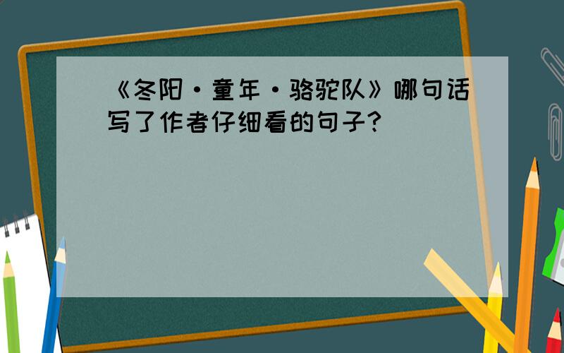 《冬阳·童年·骆驼队》哪句话写了作者仔细看的句子?