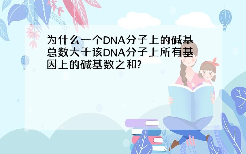 为什么一个DNA分子上的碱基总数大于该DNA分子上所有基因上的碱基数之和?