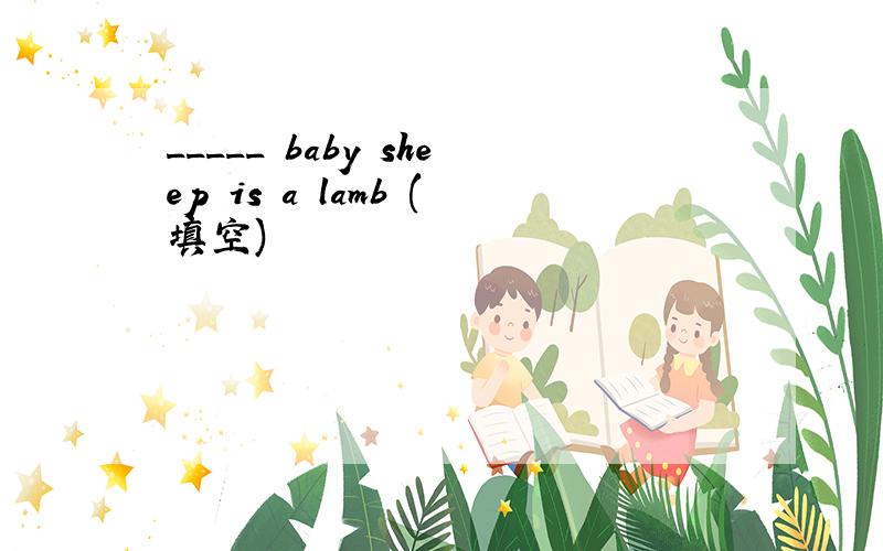 _____ baby sheep is a lamb (填空)