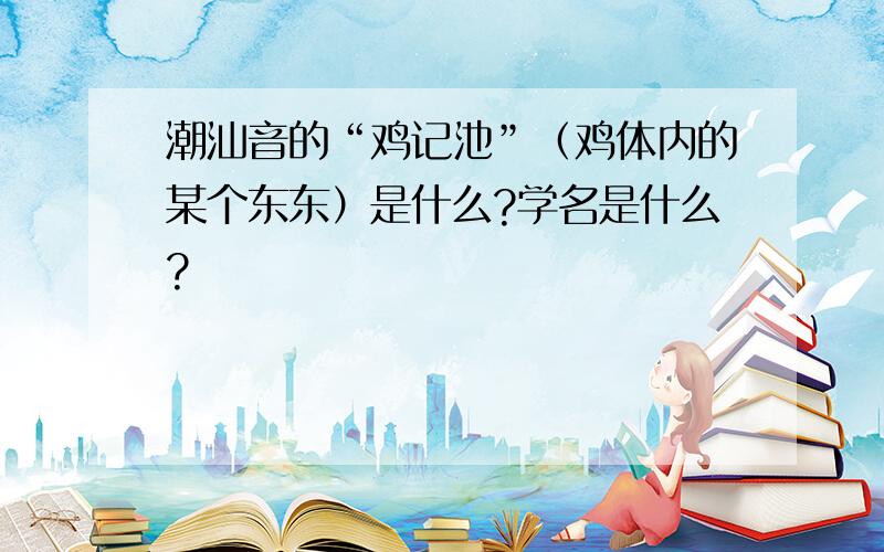 潮汕音的“鸡记池”（鸡体内的某个东东）是什么?学名是什么?