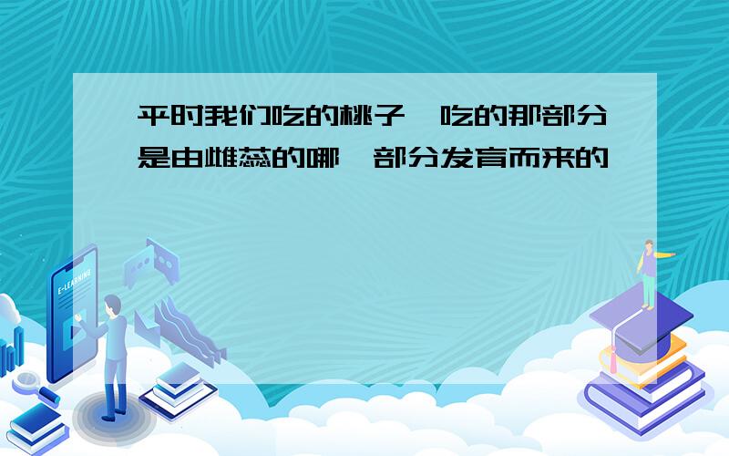 平时我们吃的桃子,吃的那部分是由雌蕊的哪一部分发育而来的