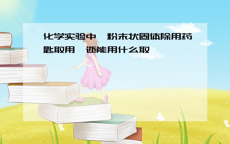 化学实验中,粉末状固体除用药匙取用,还能用什么取