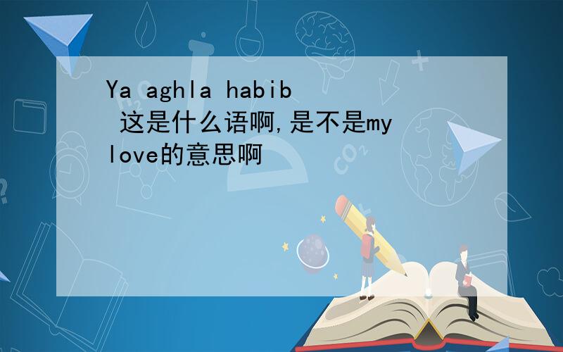 Ya aghla habib 这是什么语啊,是不是my love的意思啊