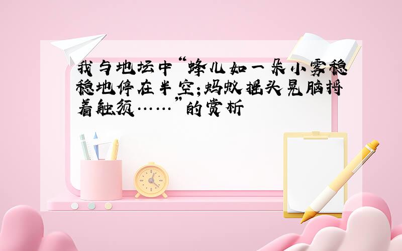 我与地坛中“蜂儿如一朵小雾稳稳地停在半空；蚂蚁摇头晃脑捋着触须……”的赏析