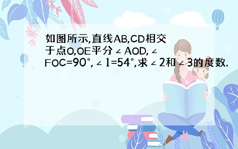 如图所示,直线AB,CD相交于点O,OE平分∠AOD,∠FOC=90°,∠1=54°,求∠2和∠3的度数.