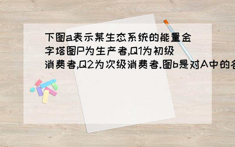 下图a表示某生态系统的能量金字塔图P为生产者,Q1为初级消费者,Q2为次级消费者.图b是对A中的各