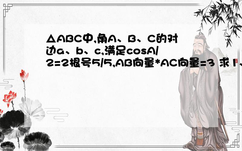 △ABC中,角A、B、C的对边a、b、c,满足cosA/2=2根号5/5,AB向量*AC向量=3 求1、△ABC面积 2