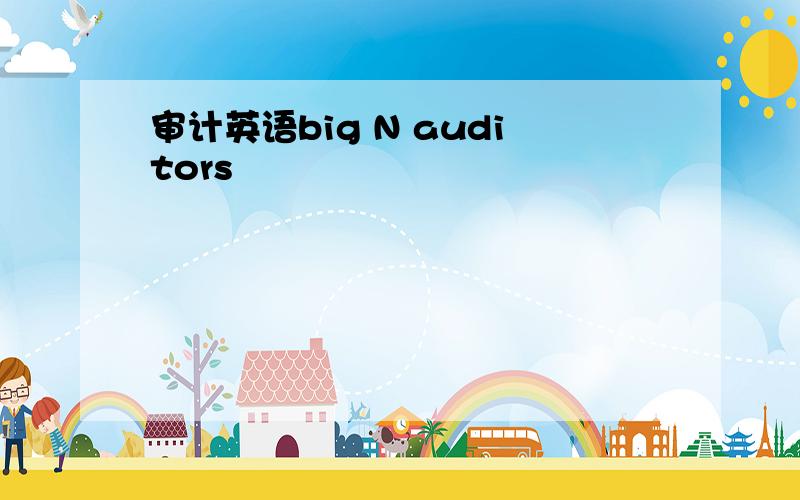 审计英语big N auditors