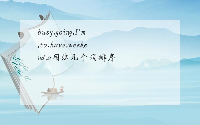 busy,going,I'm,to.have,weekend,a用这几个词排序