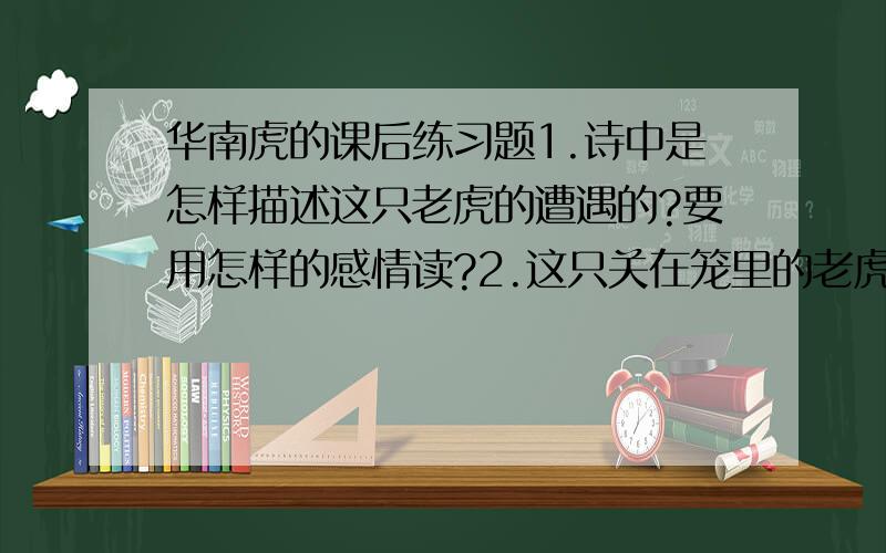 华南虎的课后练习题1.诗中是怎样描述这只老虎的遭遇的?要用怎样的感情读?2.这只关在笼里的老虎失去了自由,是不是说明它的