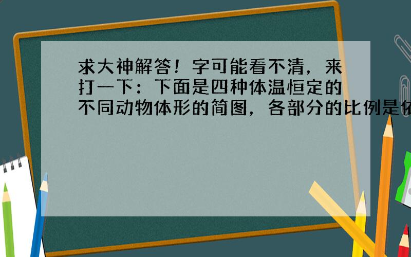 求大神解答！字可能看不清，来打一下：下面是四种体温恒定的不同动物体形的简图，各部分的比例是依据动物原型确定的，你认为单从