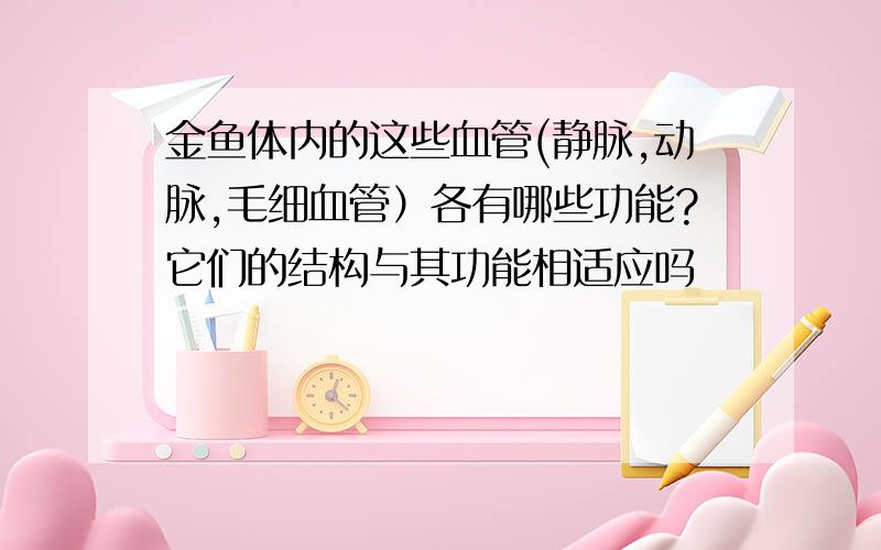 金鱼体内的这些血管(静脉,动脉,毛细血管）各有哪些功能?它们的结构与其功能相适应吗