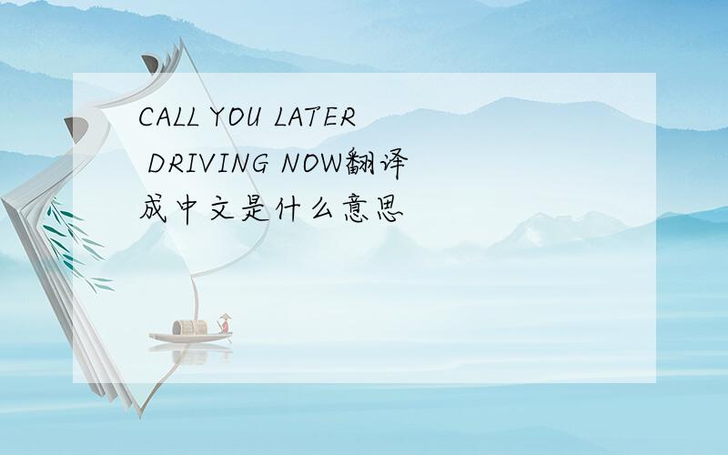 CALL YOU LATER DRIVING NOW翻译成中文是什么意思