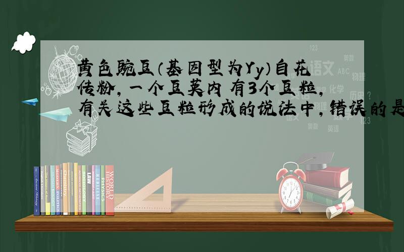 黄色豌豆（基因型为Yy）自花传粉,一个豆荚内有3个豆粒,有关这些豆粒形成的说法中,错误的是