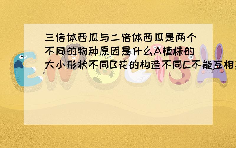 三倍体西瓜与二倍体西瓜是两个不同的物种原因是什么A植株的大小形状不同B花的构造不同C不能互相杂交产生可