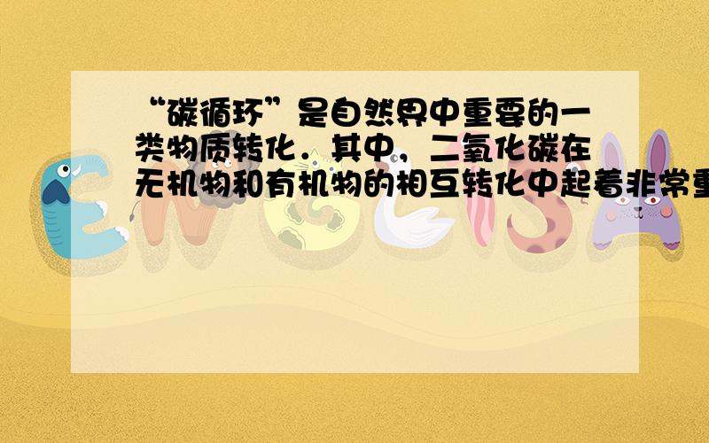 “碳循环”是自然界中重要的一类物质转化．其中，二氧化碳在无机物和有机物的相互转化中起着非常重要的作用．如图是这种作用的一