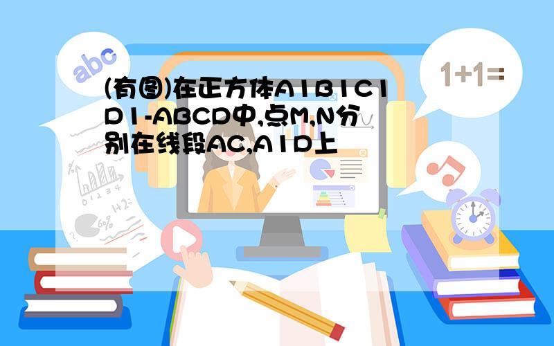 (有图)在正方体A1B1C1D1-ABCD中,点M,N分别在线段AC,A1D上