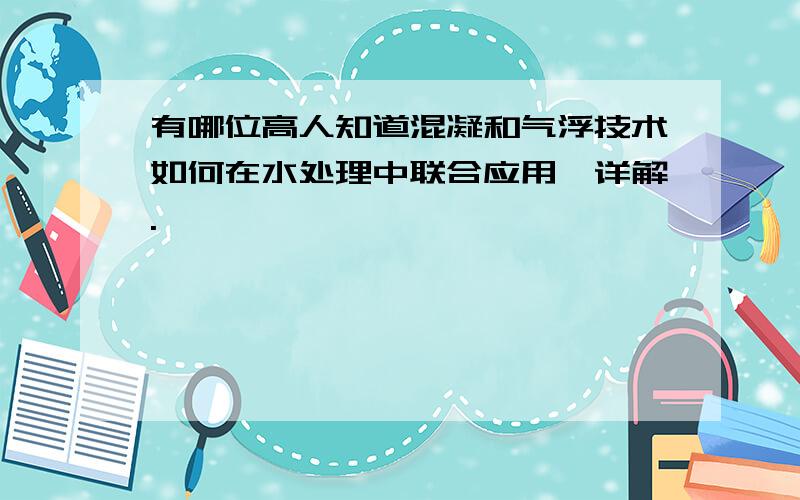 有哪位高人知道混凝和气浮技术如何在水处理中联合应用,详解.